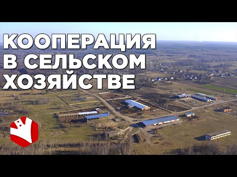 Видео: Является ли средиземноморское сельское хозяйство коммерческим?