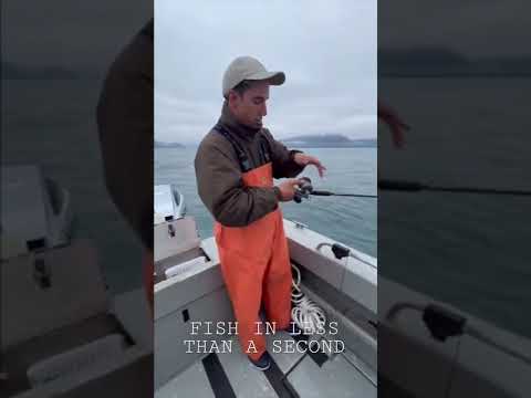 How to catch a fish in a second Alaska edition!