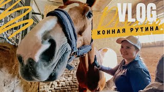 VLOG из ипподрома | конная рутина | коноблог | equestrian routine