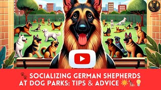Socializing German Shepherds at Dog Parks: Tips & Advice