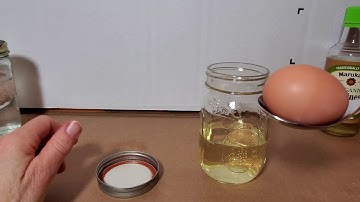 Egg Osmosis Lab Setup