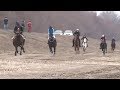 Curse de cai, concurs cu cai de viteză - Smârdan, Tulcea 2020