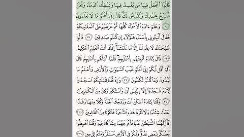 الجزء 1 من القرآن الكريم الشيخ محمد أيوب