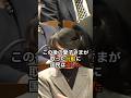 ㊗️70万回再生🎊　愛子様の言動に国民は涙　#皇室 #愛子さま #shorts