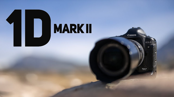 Đánh giá máy ảnh canon 5d mark iv năm 2024
