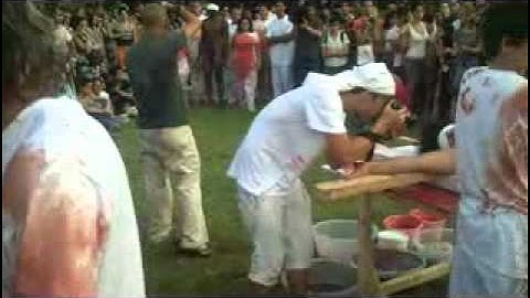 Performance de Hermann Nitsch en el ISA13