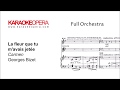 Karaoke Opera: La Fleur que tu m’Avais Jeté (Flower Song) - Carmen (Bizet) Orchestra Only version