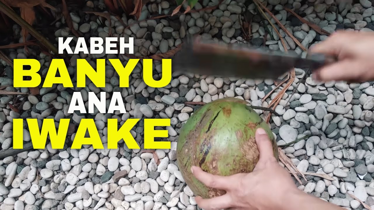 Kisah SARIDIN vs SUNAN KUDUS nyata?