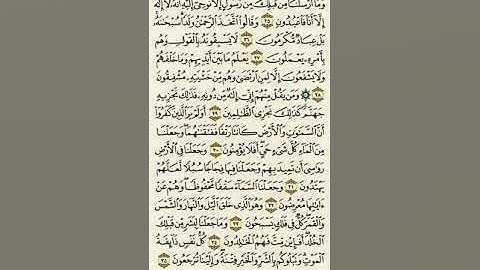 سورة الأنبياء من الآية ٢٥ إلى الآية ٣٥بصوت القارئ ماهر المعيقلي