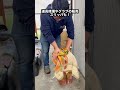 【Mago】守備力が覚醒！スリッパ型トレーニンググラブ！
