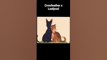 Leafpool x Crowfeather edit
