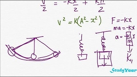 Simple Harmonic Motion & Differential Equations