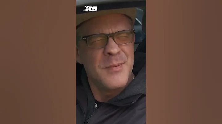 How effective are popular "gun buyback" programs?