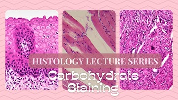 Carbohydrate Staining-Histology Lecture Series