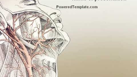 Craniofacial Anatomy PowerPoint Template by PoweredTemplate.com