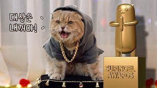 Meaninglessly High Quality Cat Award  2017 SuriNoel Awards + Surprising Performance!