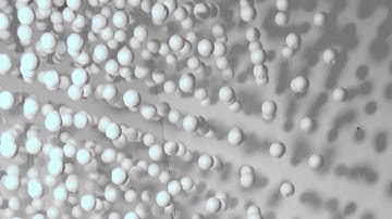 Bekkering Adams Architecture Biennale Venice 2014 Fundamentals FormContraForm