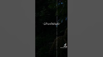 سورة الضحى تلاوة قرآن كريم بصوت جميل
