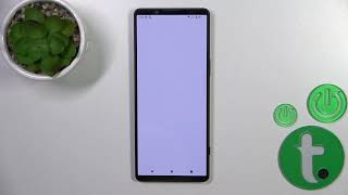 How To Activate Google Assistant On Sony Xperia 1 V screenshot 5