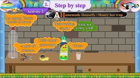 STD 7 SEM 2 ENGLISH Unit 2 Step by Step Activity 2