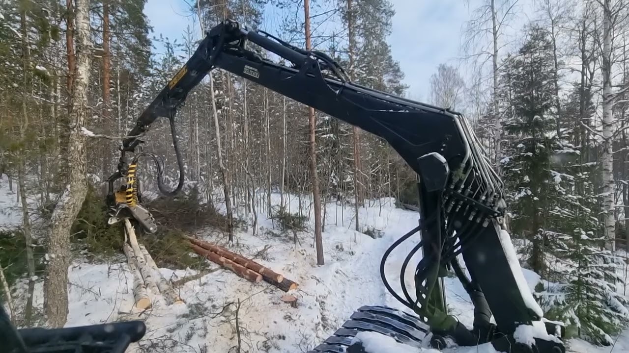 Metsurikaatojen hakkuuta rantatontilla. Sähkölinjaa, tontinrajaa, rakennuksia... Ponsse Beaver