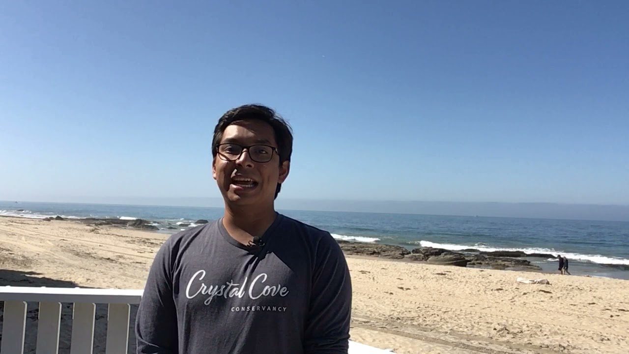 Coastal Dynamics Session 6: Creating Your Beach Profile Graph