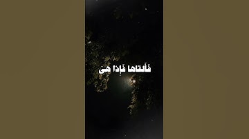 سورة طه من الآية 19 إلى الآية 21 بصوت الشيخ كامل يوسف البهتيمي