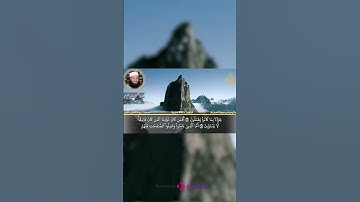 تلاوة تريح قلبك و تنسيك همك  #ياسر_القرشي