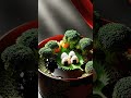 The Bento Box Transformation