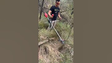 FIRST LOOK 👀 Milwaukee M18 FUEL™ Brushcutter/Line Trimmer - M18FBC0 #welovetools