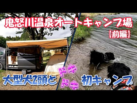 【大型犬2頭と初キャンプ】鬼怒川温泉オートキャンプ場に行って来ました！