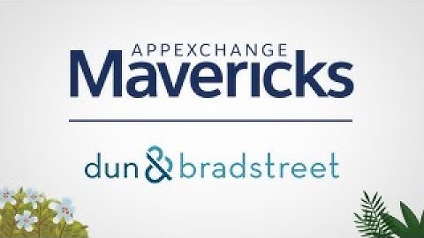AppExchange Mavericks: Dun & Bradstreet Manages Data Quality in Salesforce