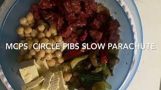 Circle fibs slow parachute