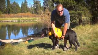 Ruffwear K9 Float Coat