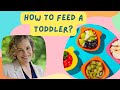 How to feed a Toddler? Get effective tools by Dr Laura Markham.