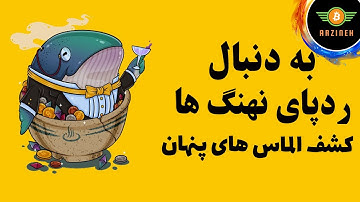 به دنبال ردپای نهنگ ها، روش پیدا کردن الماس های پنهان
