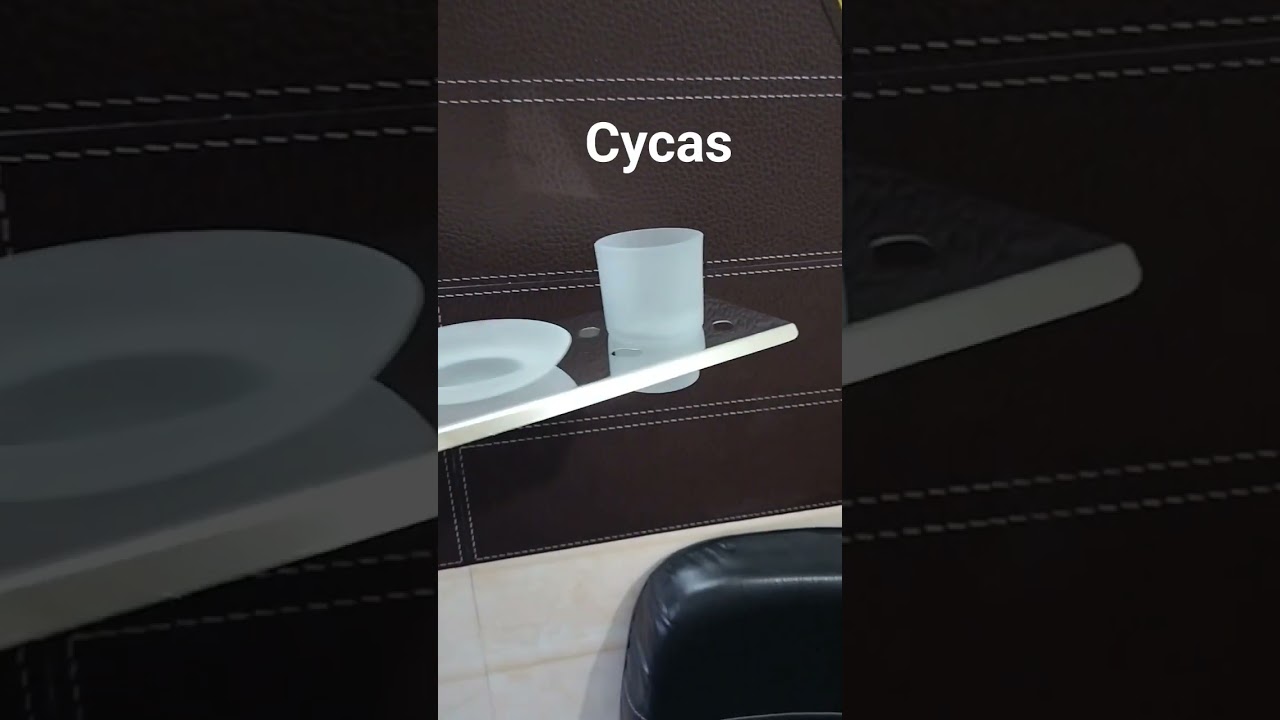 Stainless steel soap dish with tumbler with glass