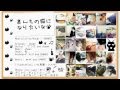 【オリジナル曲】「君んちの猫になりたいな」【SAMARI】
