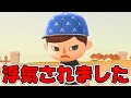 【あつ森】さとひろ、キャビアに浮気されてしまう…【あつまれどうぶつの森】