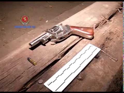 შსს-მ ცეცხლსასროლი იარაღის უკანონო შეძენა-შენახვისა და ტარების ბრალდებით ერთი პირი დააკავა