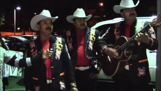 LOS NORTENISIMOS DINAMICOS en los caballos nithg club se santa rosa