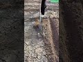 Fast Row Making Using a Single-Blade Pointed Triangular Tool 🌱⛏️