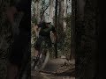 Polygon Siskiu T8: New Updates &amp; AMB Review! #shorts