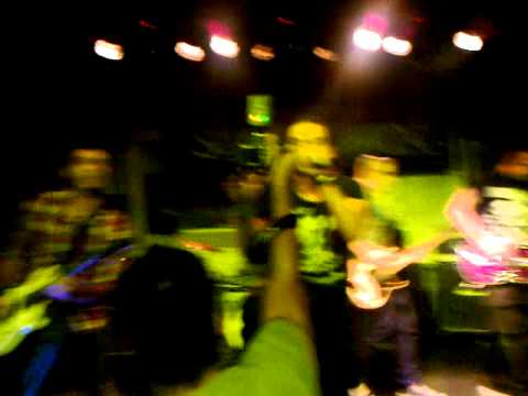 Dualized Video