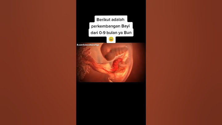 proses perkembangan bayi dari 0-9 bulan