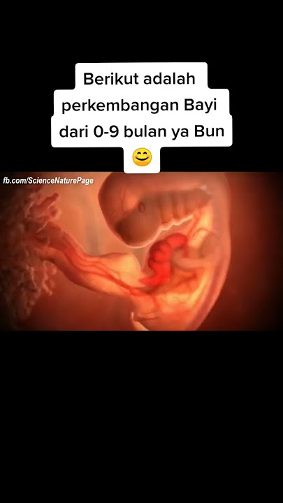 proses perkembangan bayi dari 0-9 bulan