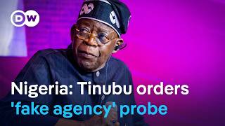 Nigerians predict whitewash over $950k presidency scam Guide