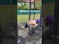 Provalo se vuoi aggiungere un tocco in più ai tuoi workout!