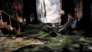 MOV07273