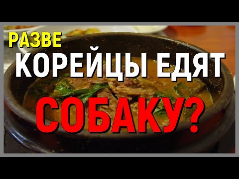 [Южная Корея] РАЗВЕ КОРЕЙЦЫ ЕДЯТ СОБАКУ? СОБАЧЬЕ МЯСО В КОРЕЕ -- Gunn's Diary